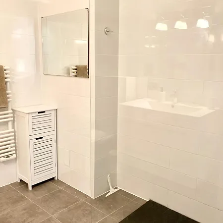 Grand Duplex Climatise Avec Terrasse Face A La