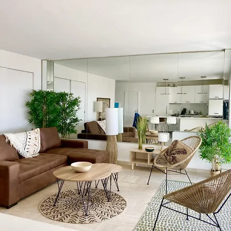 Grand Duplex Climatise Avec Terrasse Face A La Daire *